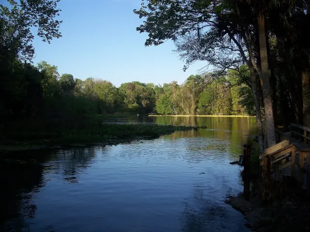 Spring run flowing through Wekiwa Springs State Park in Apopka, Orange County, Florida